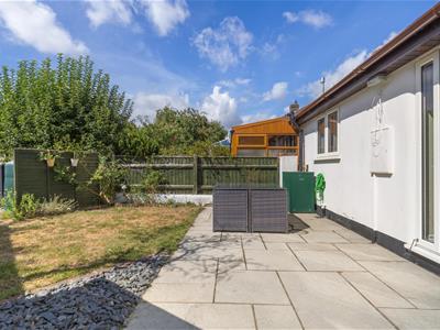 Picture 20